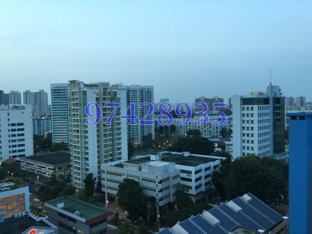 Cradels (D12), Apartment #106638622